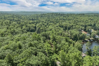 Build Your Lakeside Retreat.  Here is a rare opportunity to own - photo 23
