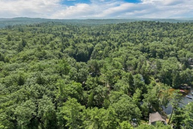 Build Your Lakeside Retreat.  Here is a rare opportunity to own - photo 24