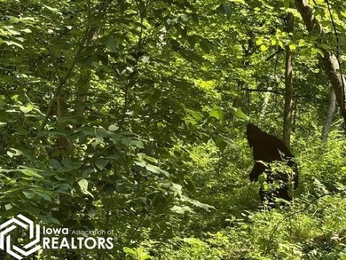 Escape to your own private campground retreat! This unique - photo 24