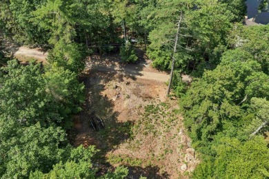 Build Your Lakeside Retreat.  Here is a rare opportunity to own - photo 28