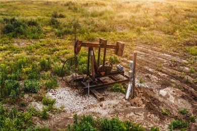 A rare, income-producing rural property in one of the - photo 34