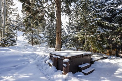 Ideally positioned in Silver Lake, with ski to, ski from access - photo 57