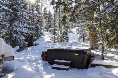 Ideally positioned in Silver Lake, with ski to, ski from access - photo 58