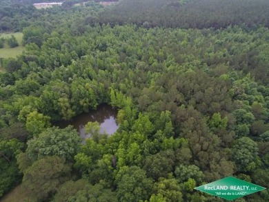 (private lake, pond, creek) Acreage For Sale in Spearsville Louisiana