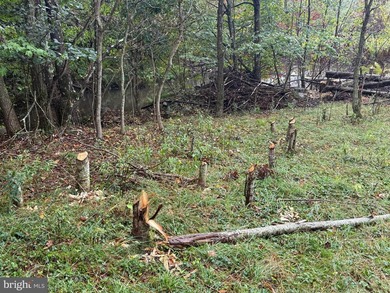 OWN A PIECE OF WEST VIRGINIA! 2.04 (UNRESTRICTED) ACRES. ONLY A - photo 3