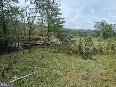 OWN A PIECE OF WEST VIRGINIA! 2.04 (UNRESTRICTED) ACRES. ONLY A - photo 4