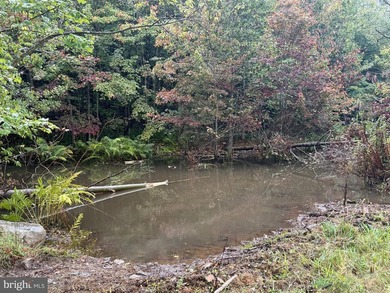 OWN A PIECE OF WEST VIRGINIA! 2.04 (UNRESTRICTED) ACRES. ONLY A - photo 5