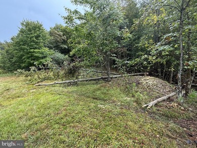 OWN A PIECE OF WEST VIRGINIA! 2.04 (UNRESTRICTED) ACRES. ONLY A - photo 6