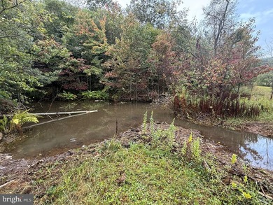 OWN A PIECE OF WEST VIRGINIA! 2.04 (UNRESTRICTED) ACRES. ONLY A - photo 9