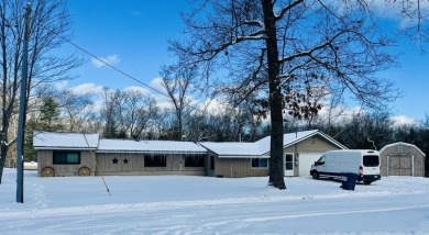 Lake Home For Sale in Baldwin, Michigan