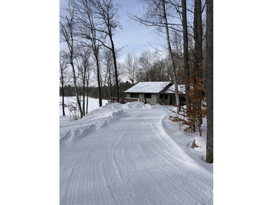 Round Lake - Osceola County Home Sale Pending in Reed City Michigan