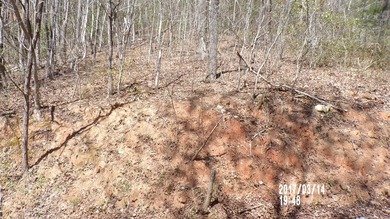 Lake Chatuge Lot For Sale in Hayesville North Carolina