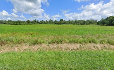 Chippewa Lake Acreage For Sale in Chippewa Lake Ohio