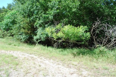Lake Lot Sale Pending in Whitney, Texas