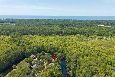 Peaceful Sea Pines retreat with proven rental performance and a - photo 43
