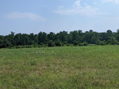 190.4 Acre Premier Tract in Lincoln County.  Property fronts - Lake Acreage Sale Pending in Lincolnton, Georgia