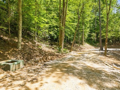 REDUCED PRICE!! Introducing Dryden Ridge-a brand-new, premier - photo 2