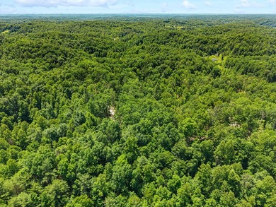 REDUCED PRICE!! Introducing Dryden Ridge-a brand-new, premier - photo 4