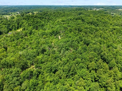 REDUCED PRICE!! Introducing Dryden Ridge-a brand-new, premier - photo 5