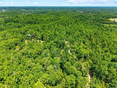 REDUCED PRICE!! Introducing Dryden Ridge-a brand-new, premier - photo 6