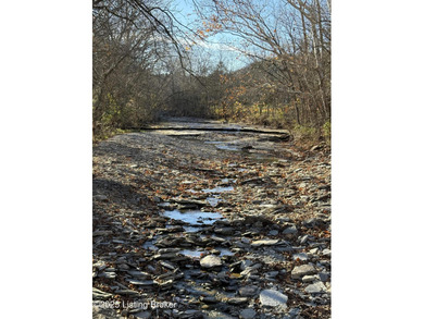 Lake Home For Sale in Milton, Kentucky