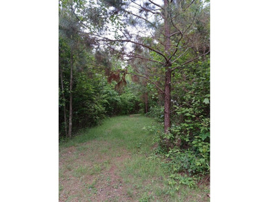 Coosawattee River - Gilmer County Acreage Active Under Contract in Ellijay Georgia