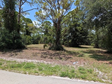 Lake Istokpoga Lot For Sale in Lake Placid Florida