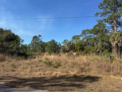 Lehigh Acres Area Lot For Sale in Alva Florida
