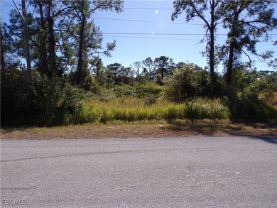 Lehigh Acres Area Lot For Sale in Lehigh Acres Florida