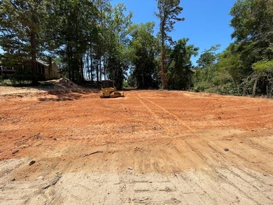 Create your ideal residence on this exceptional waterfront lot - photo 4