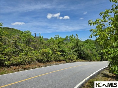 Lake Toxaway Acreage For Sale in Lake Toxaway North Carolina