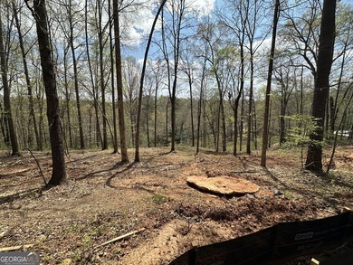 Incredible Price for Gorgeous 2 Acre River Lot on a Full - photo 38