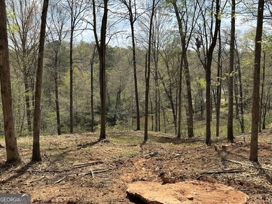 Incredible Price for Gorgeous 2 Acre River Lot on a Full - photo 39