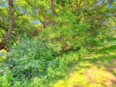 Unique opportunity to own a combined 1.13-acre Lake Carroll - photo 4