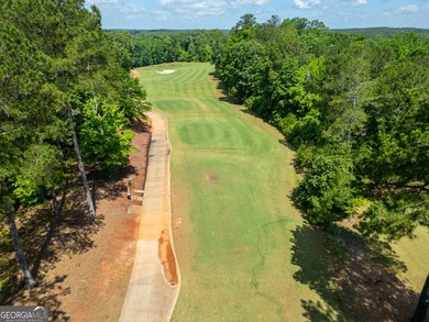 Incredible Price for Gorgeous 2 Acre River Lot on a Full - photo 47