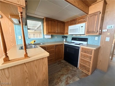 WELCOME TO 318 FOUNTAIN VIEW BLVD, where you OWN THE LAND in the - photo 8