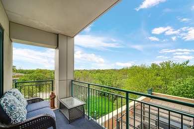 This move-in-ready luxury condo offers the perfect blend of - photo 8