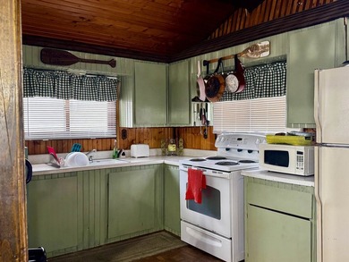 Remember those trips up north to the family cabin, making - photo 6