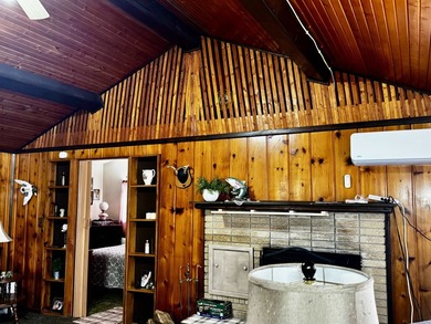 Remember those trips up north to the family cabin, making - photo 8