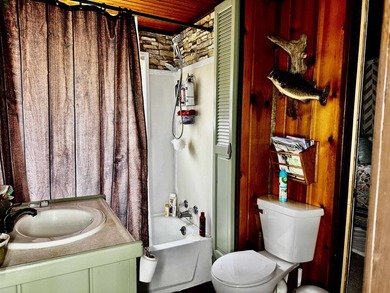 Remember those trips up north to the family cabin, making - photo 10