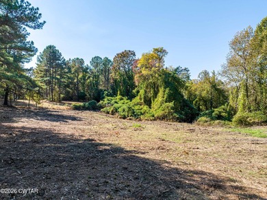 10 acres waterfront lot on Lake Halford in Huntingdon TN. This - photo 11