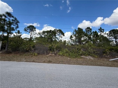 Lehigh Acres Area Lot For Sale in Lehigh Acres Florida