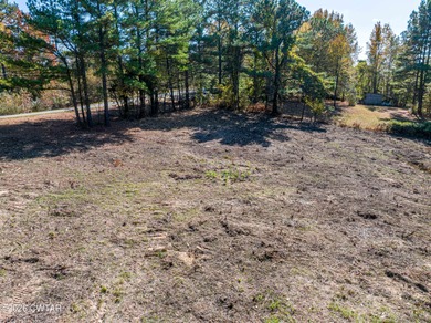 10 acres waterfront lot on Lake Halford in Huntingdon TN. This - photo 22