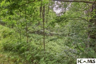 This generous 5.85-acre estate comprises two adjoining lots (7 & - photo 6
