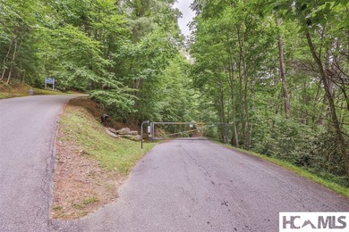 This generous 5.85-acre estate comprises two adjoining lots (7 & - photo 9
