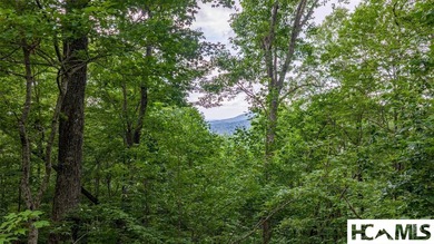 This generous 5.85-acre estate comprises two adjoining lots (7 & - photo 10