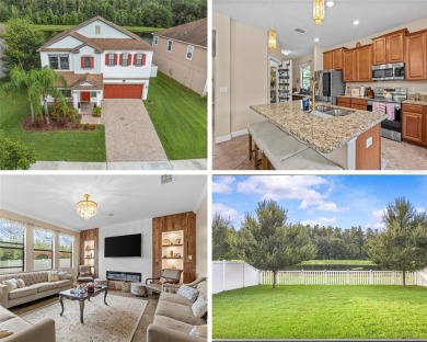 Lake Home For Sale in Tampa, Florida