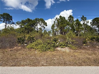 Lehigh Acres Area Lot For Sale in Lehigh Acres Florida