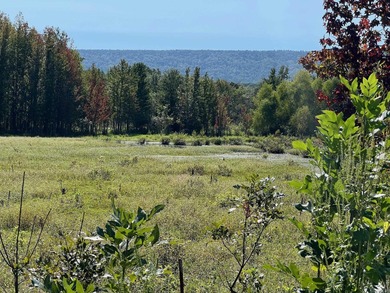 (private lake, pond, creek) Acreage For Sale in Waldron Arkansas