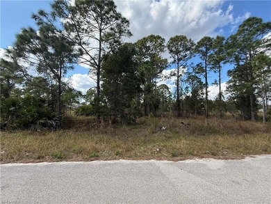 Lehigh Acres Area Lot For Sale in Lehigh Acres Florida